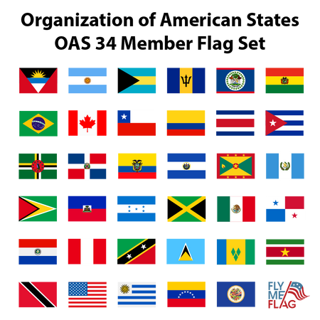 Organization of American States OAS 34 Member Flag Set for Outdoor Use