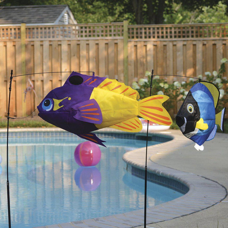 Fairy Basslet Swimming Fish Windsock-Windsock-Fly Me Flag