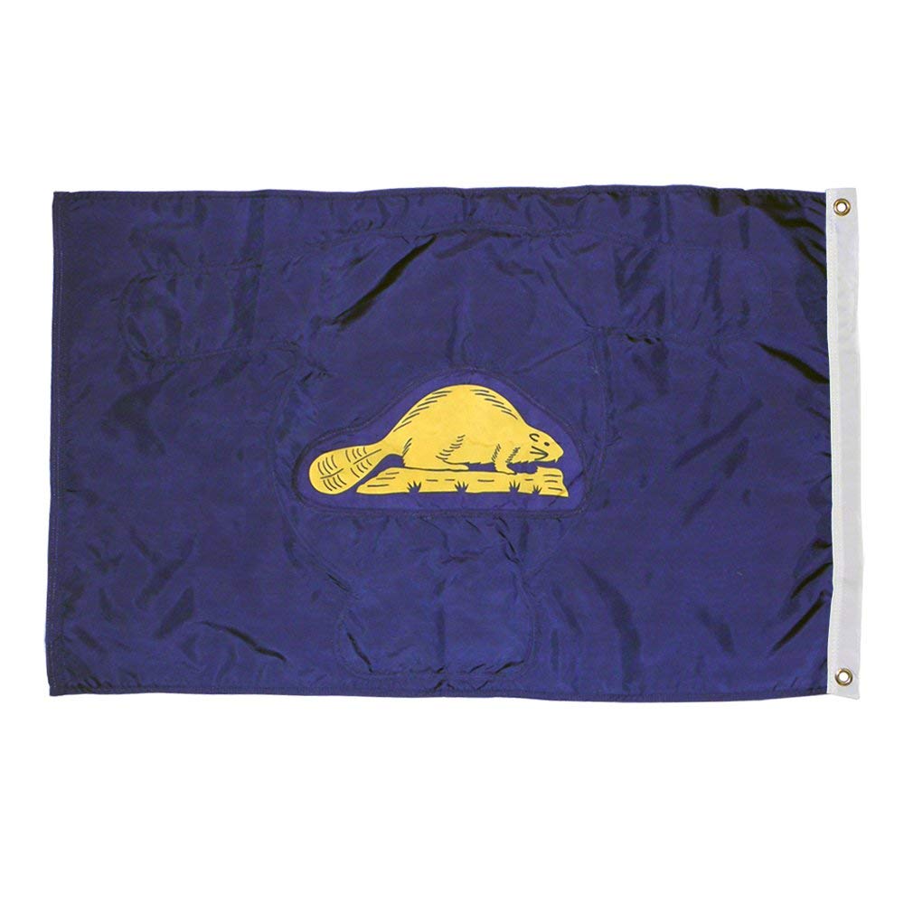 Long-lasting outdoor State of Oregon Flags are available in 2x3, 3x5, 4x6, 5x8, 6x10, 8x12, 10x15, and 12x18 sizes