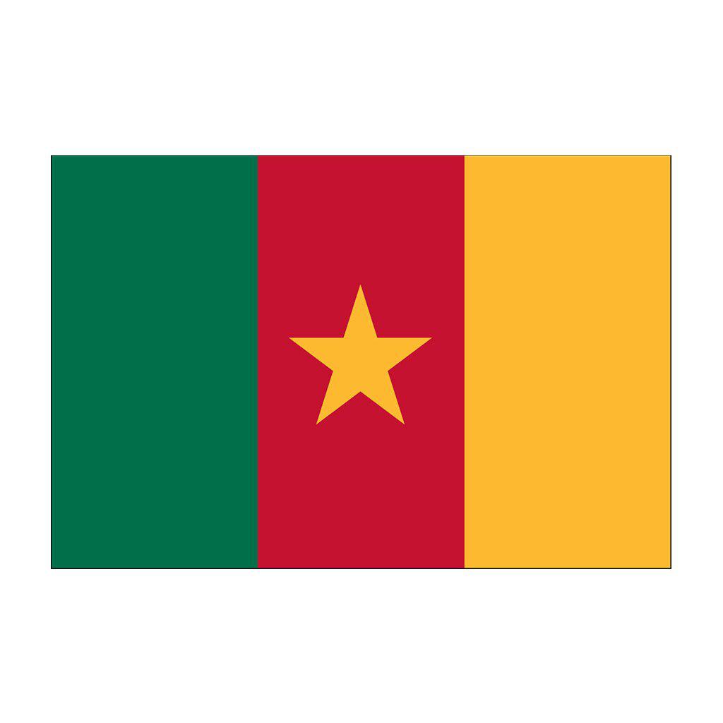 Cameroon Flags