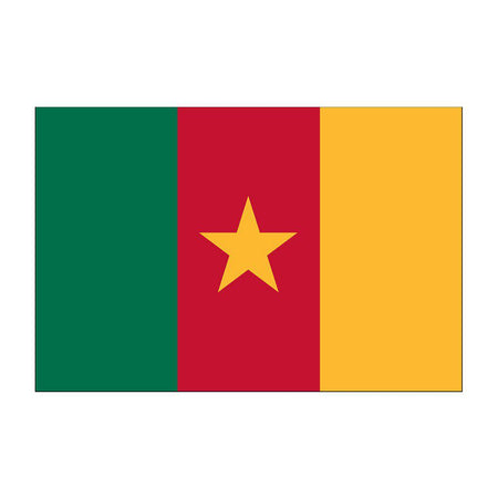 Cameroon Flags