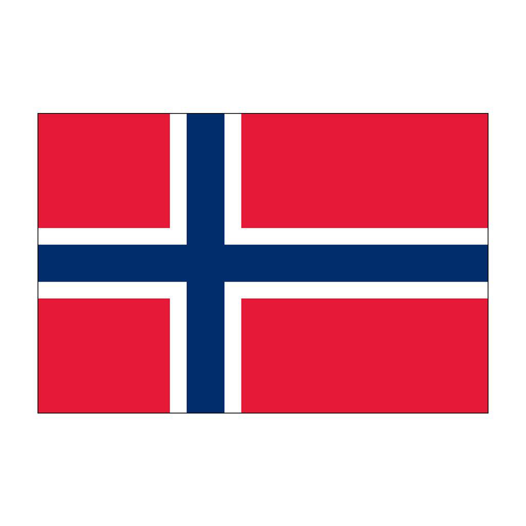 Buy outdoor Norway flags