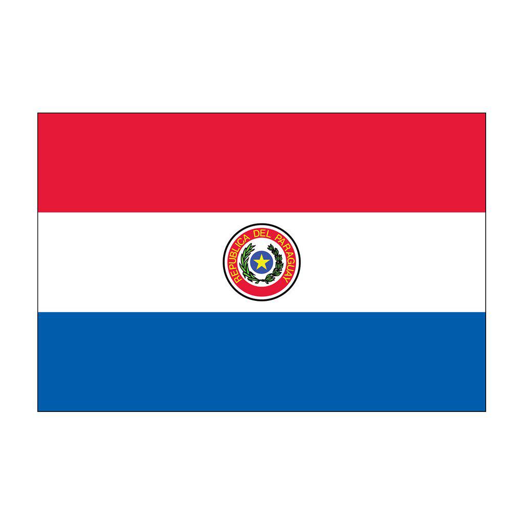 Buy outdoor Paraguay flags