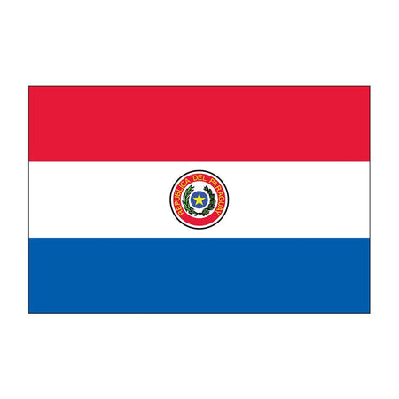 Buy outdoor Paraguay flags