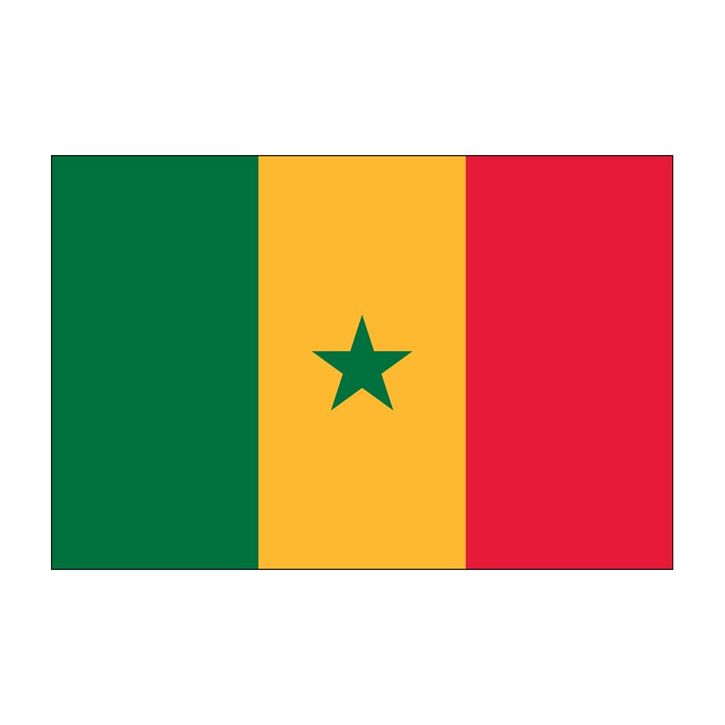 Buy outdoor Senegal flags